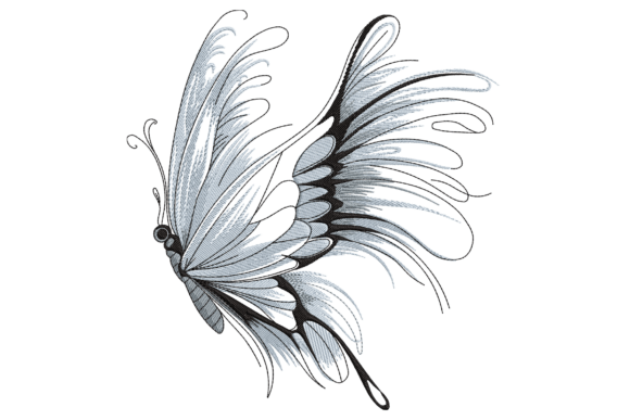 Elegant Butterfly