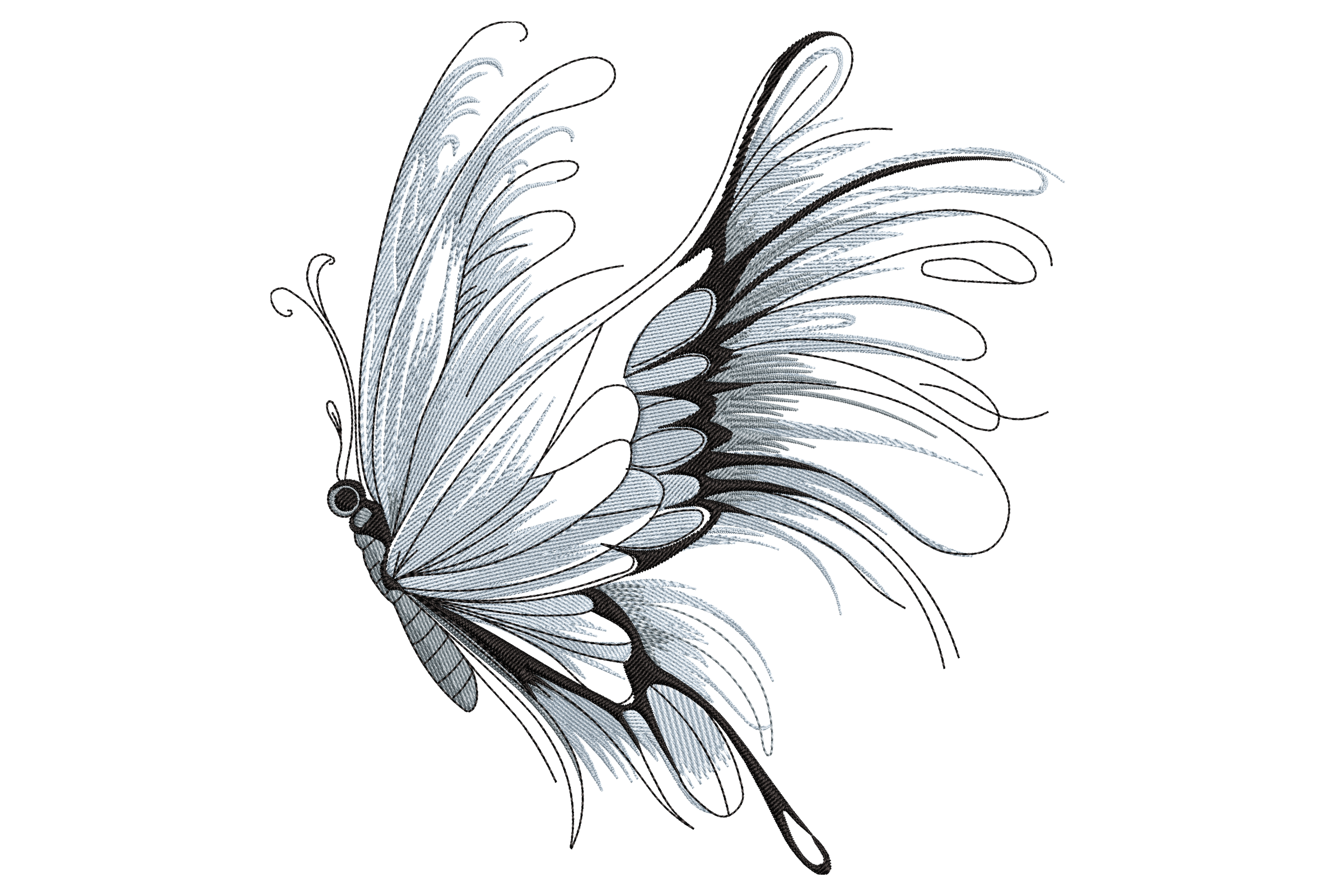 Elegant Butterfly