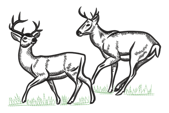Elegant Deer