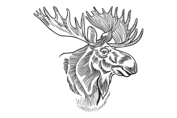 Moose Head Outline
