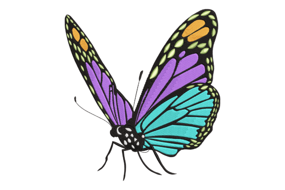 Rainbow Butterfly