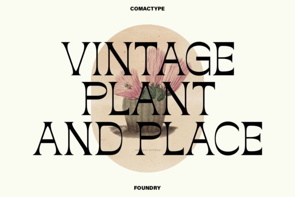 Rumpluck Font PNG with transparent background - Preview 2