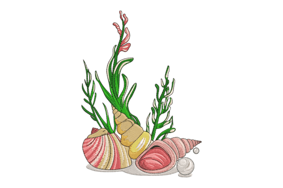 Sea Shell Marine Life