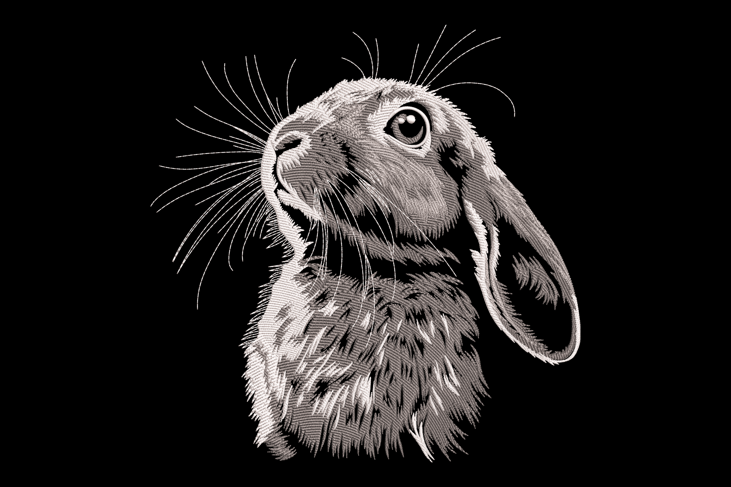 White Bunny