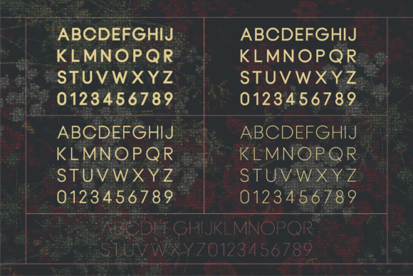 Alizgeno Font - Preview 4