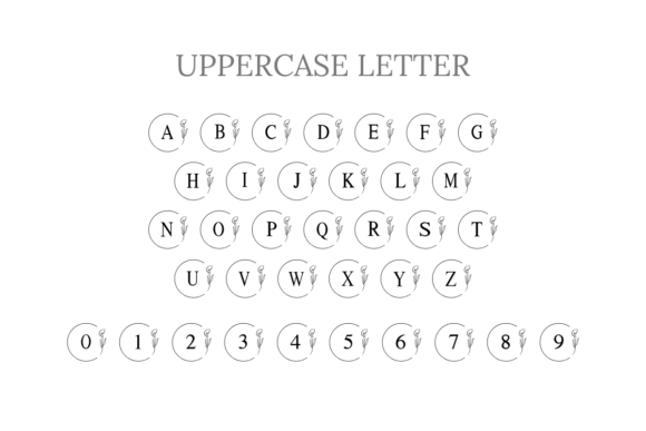Calla Monogram Font - Preview 3