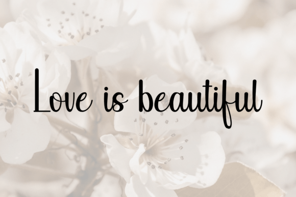 Danilla Font - Preview 1
