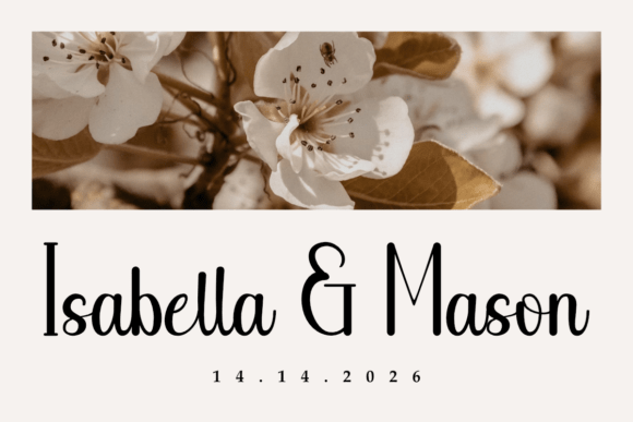 Danilla Font - Preview 3