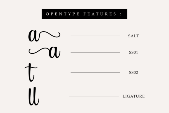 Danilla Font - Preview 4