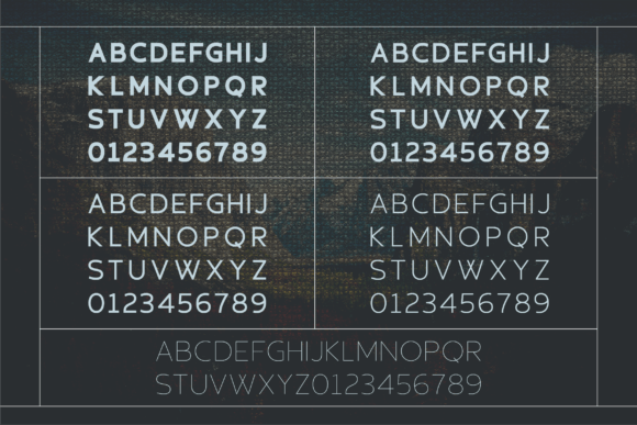 Felicite Font - Preview 4