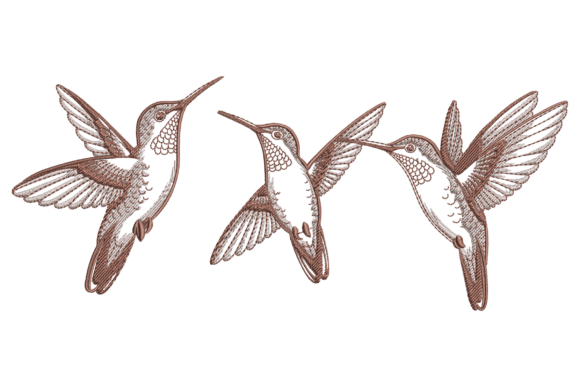 Flying Hummingbirds