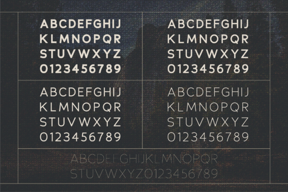 Heloise Font - Preview 4