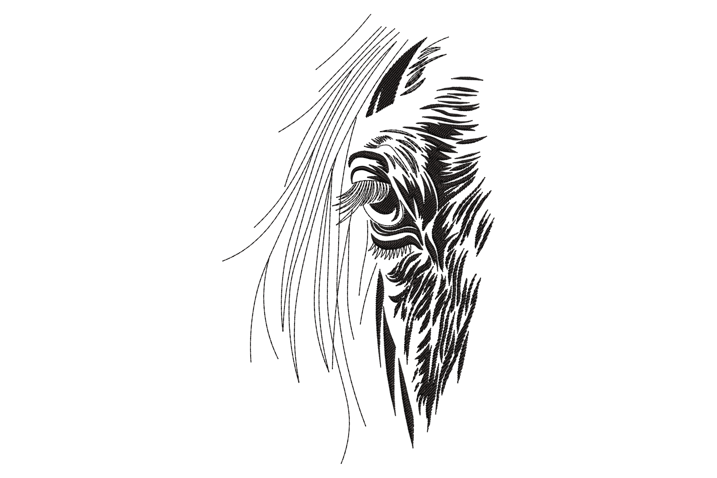 Horse Head