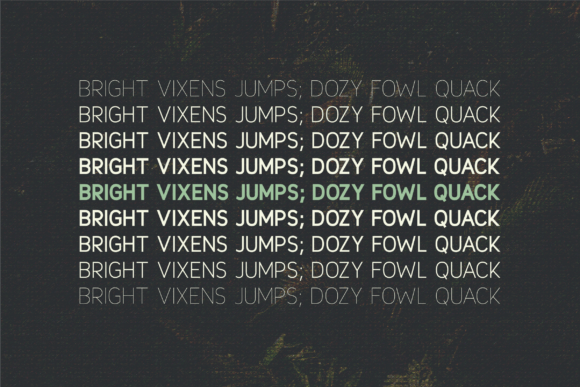 Lisianthus Font PNG with transparent background - Preview 3