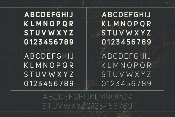 Lisianthus Font PNG with transparent background - Preview 4