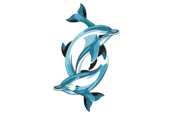 Playful Dolphins