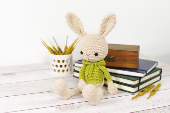 Bunny in a Hoodie