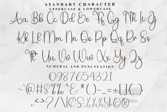 Following Font - Preview 4