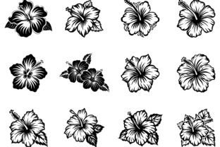 Hibiscus Flower SVG Bundle Graphic by aurnobnandy · Creative Fabrica