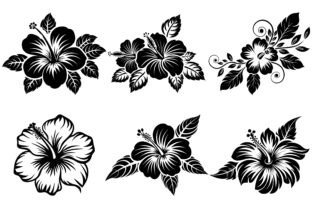 Hibiscus Flower SVG Bundle Graphic by aurnobnandy · Creative Fabrica
