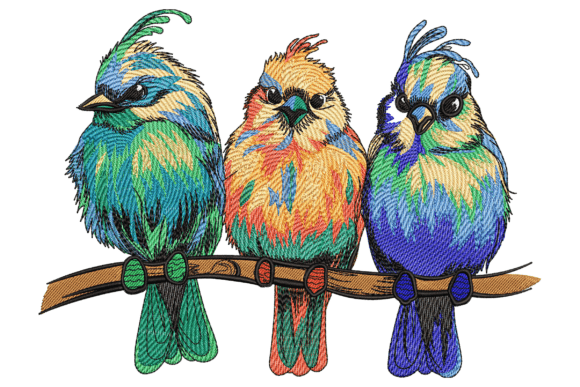 Lovely Birds
