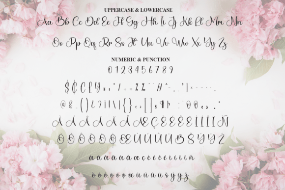 Angelica Font - Preview 6