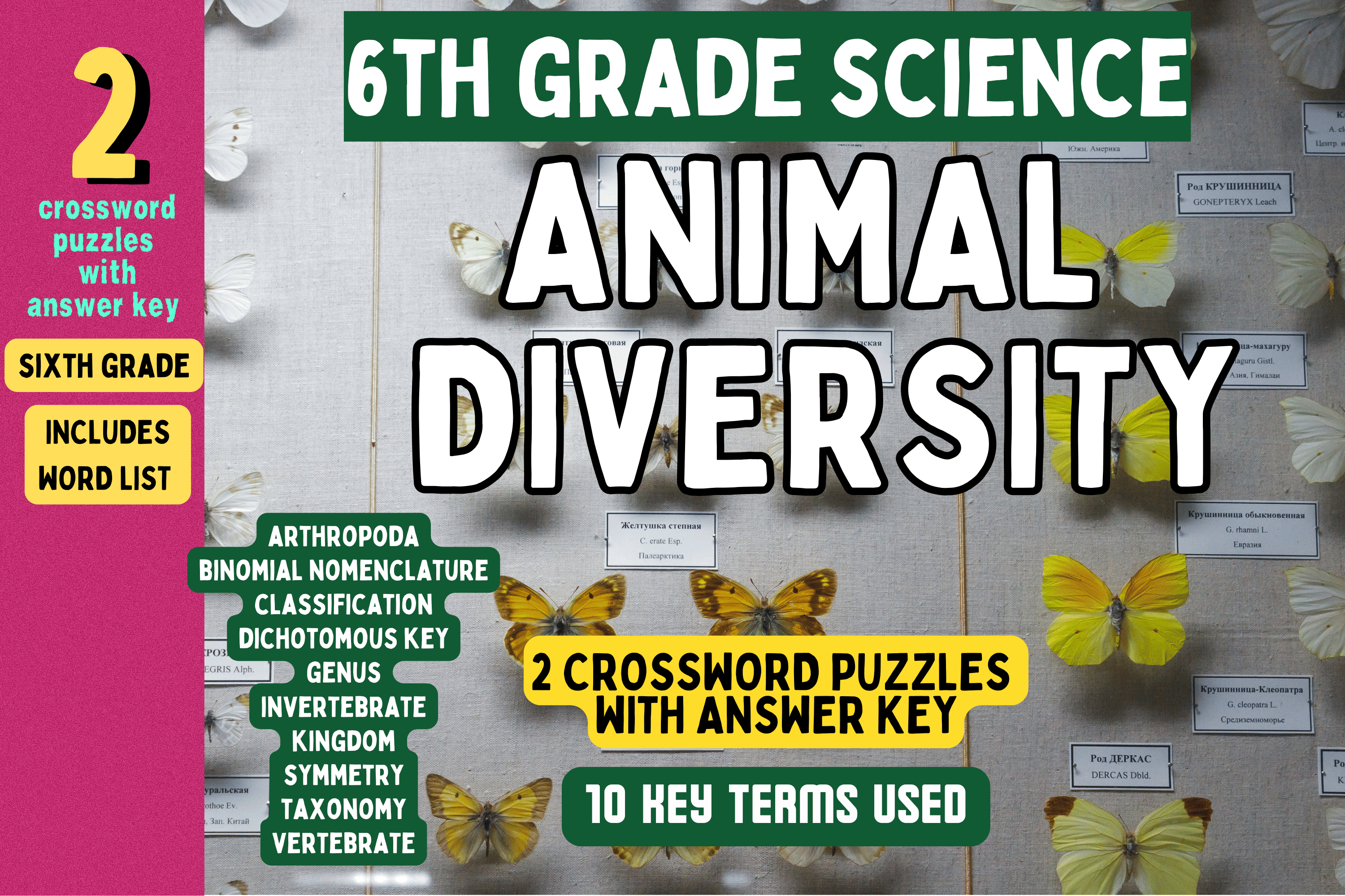 Animal Diversity Crossword Puzzle Graphic by Charm Creatives · Creative ...