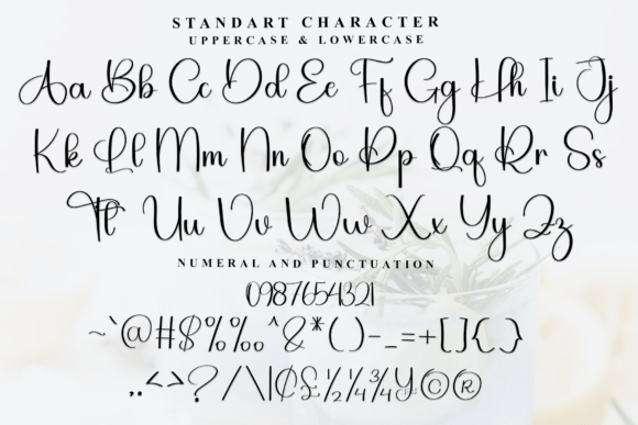 Autograph Font - Preview 4