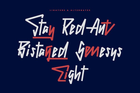 Awenty Eight Font - Preview 4