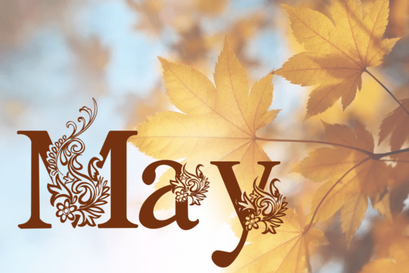 Beautiful Black Font - Preview 2