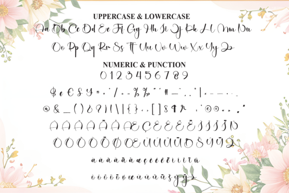 Clara Font - Preview 6