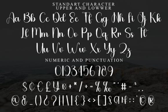 Culture Script Font - Preview 2