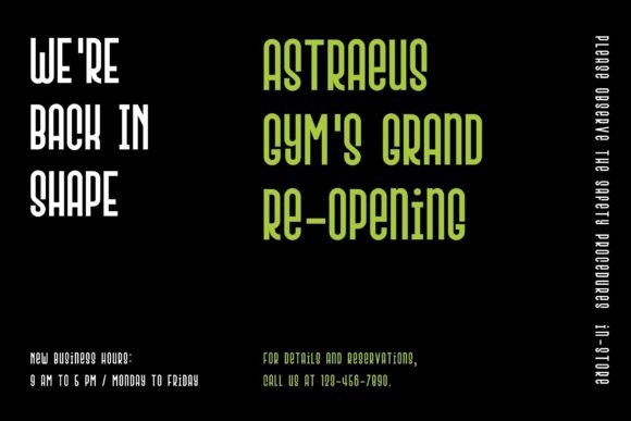 Fox Matrix Font - Preview 5