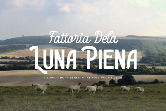 Gianpaolo Palmeri Duo Font - Preview 1