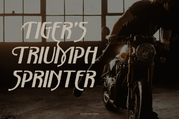 Saltrone Font PNG with transparent background - Preview 1