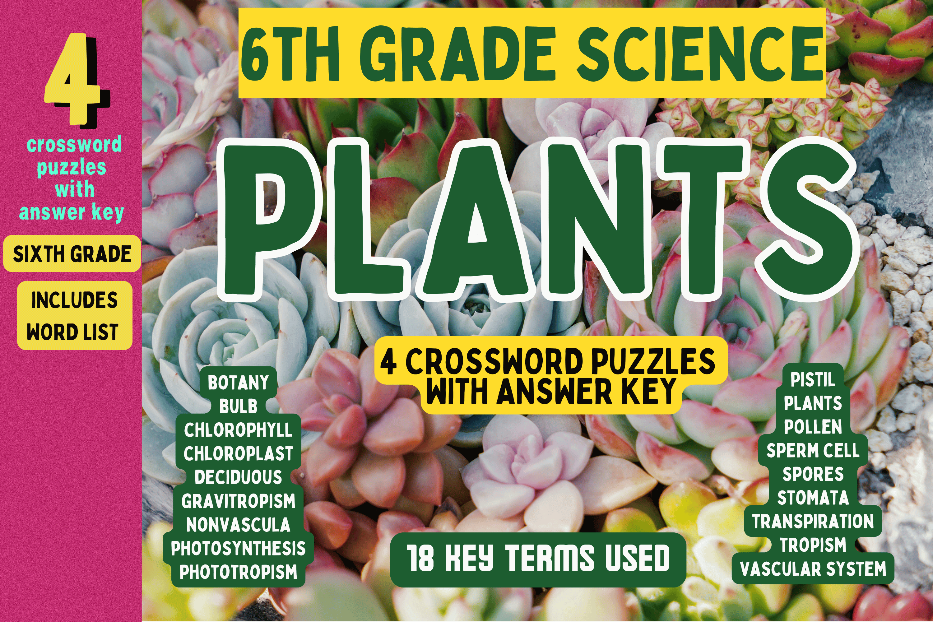 Science: Plants Crossword Puzzles Graphic by Charm Creatives · Creative ...