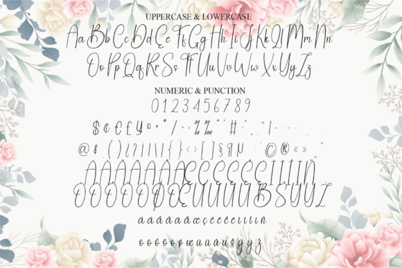 Amellia Font - Preview 6