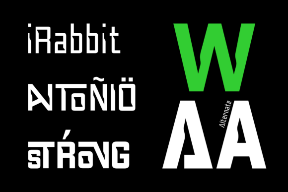 Anymspace Font - Preview 1