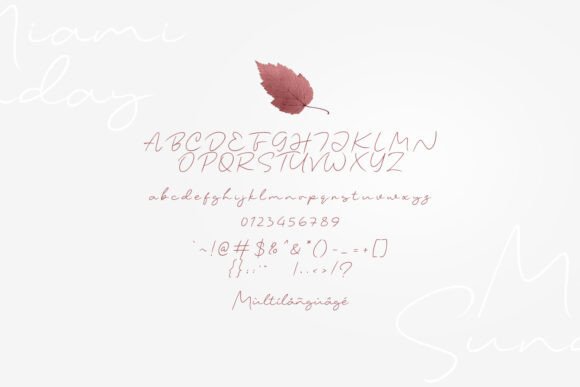 Miami Sunday Font PNG with transparent background - Preview 4