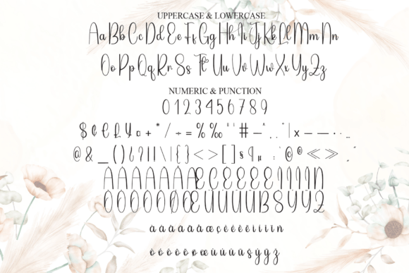 Amellia Font - Preview 6