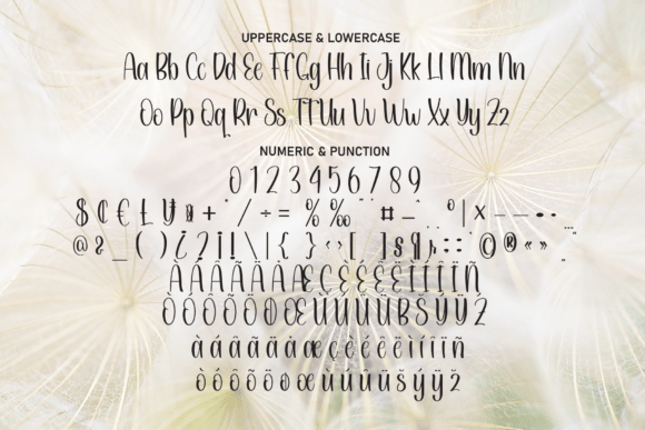 Dandelion Font - Preview 6
