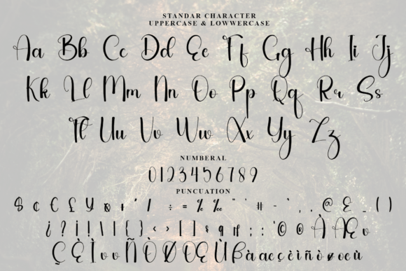 Calligraphy Font - Preview 3