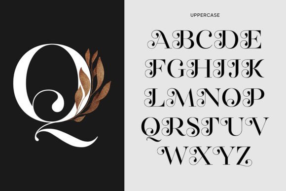 Regality Display Font PNG with transparent background - Preview 2