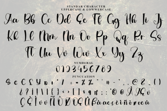 Aesthetic Font - Preview 3