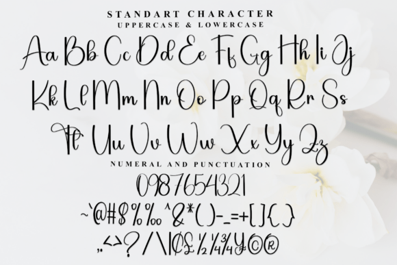 Bridger Font - Preview 4