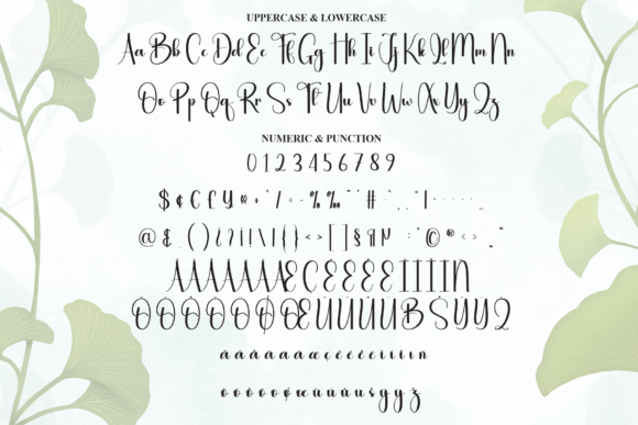 Handwritteen Font font preview - 6