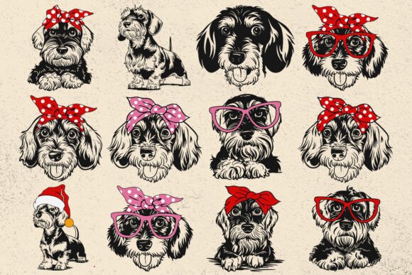 Wirehaired Dachshund Svg Dog Cricut Svg Graphics
