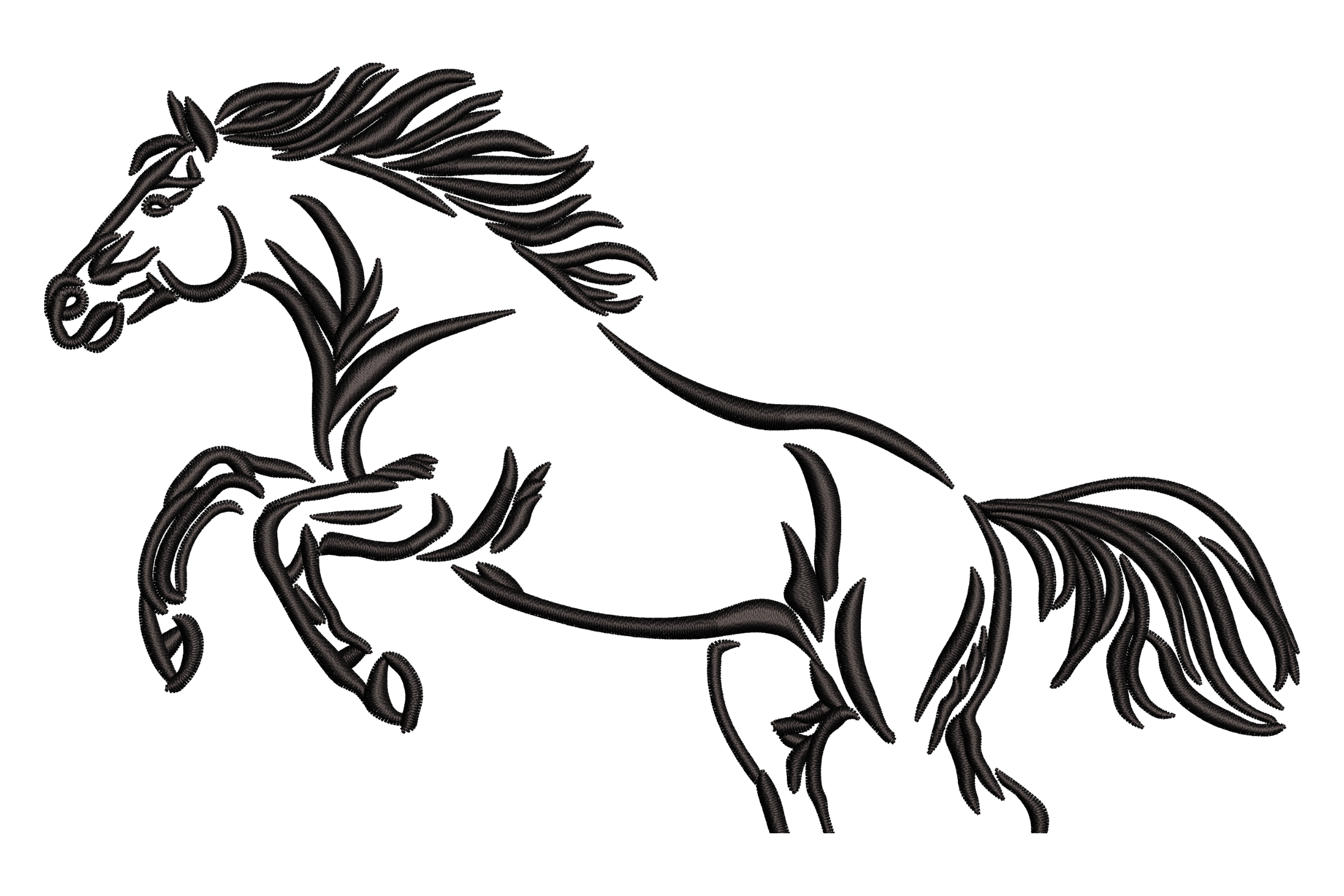 Majestic Wild Horse