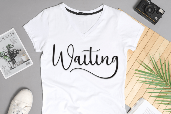 Bonita Beauty Font - Preview 1