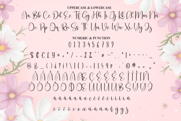Bonita Beauty Font - Preview 6